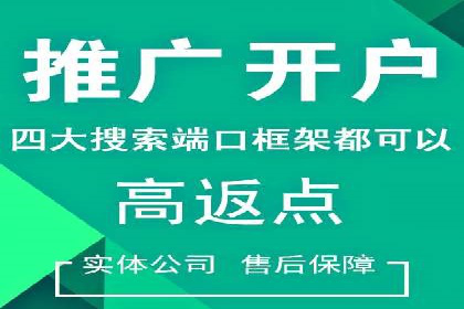 竞价广告的投放策略与效果评估——以一成功企业为例